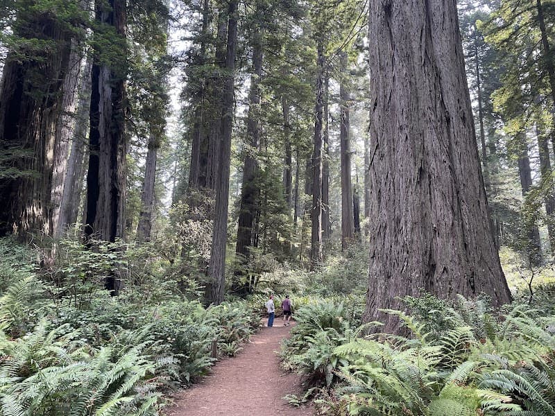 Founders Grove Nature Loop Trail