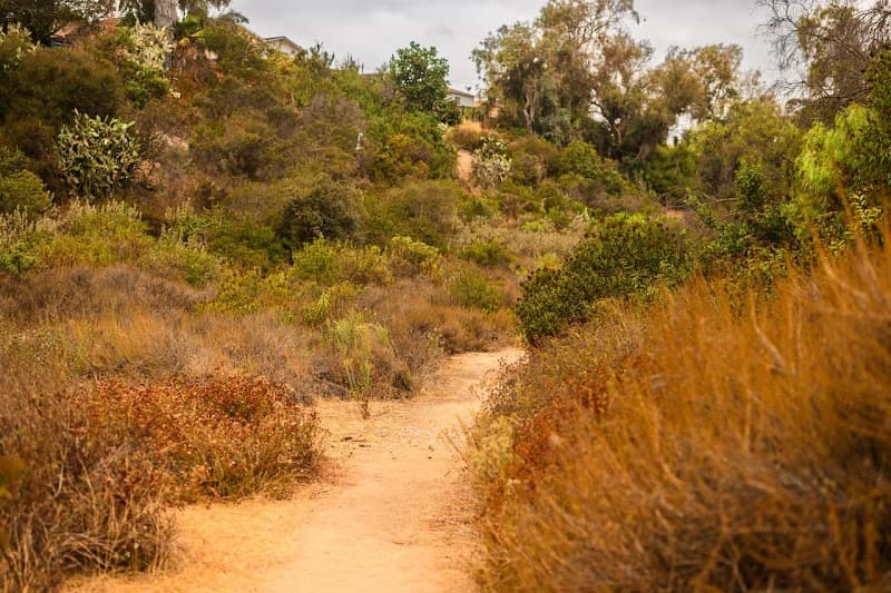 San Diego Canyonlands