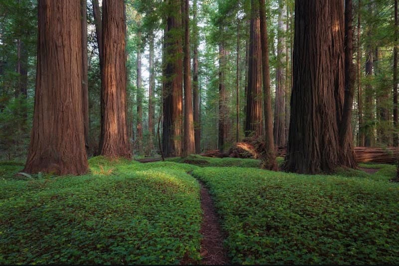 Greig, French, Bell Trailhead